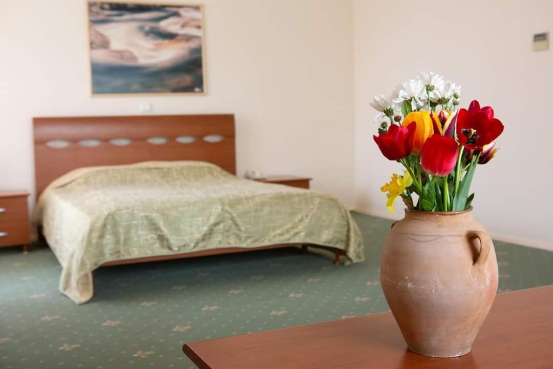 Vila Dorului Molovata Noua Room photo